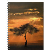 Carnet Lonely Tree Sunbeams - Lever du soleil (Devant)