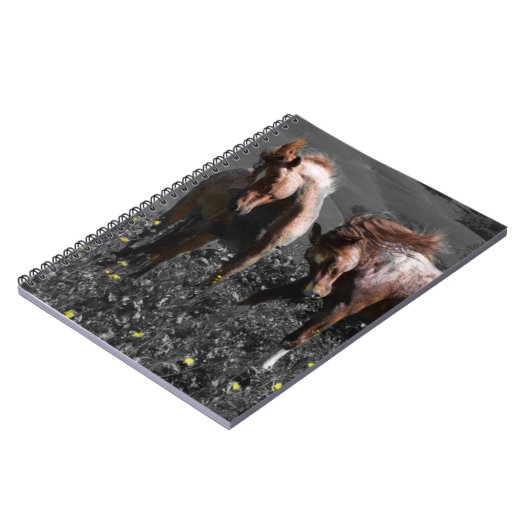 Carnet Longeron d'étalon (Côté gauche)