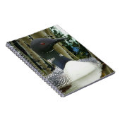 Carnet Loon sauvage (Côté Droit)