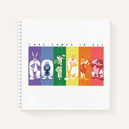 Carnet LOONEY TUNES™ - L'Amour Vient Dans Toutes Les Coul (Devant)