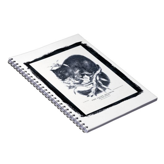 Carnet L'Opossum de Sooty (Côté Droit)