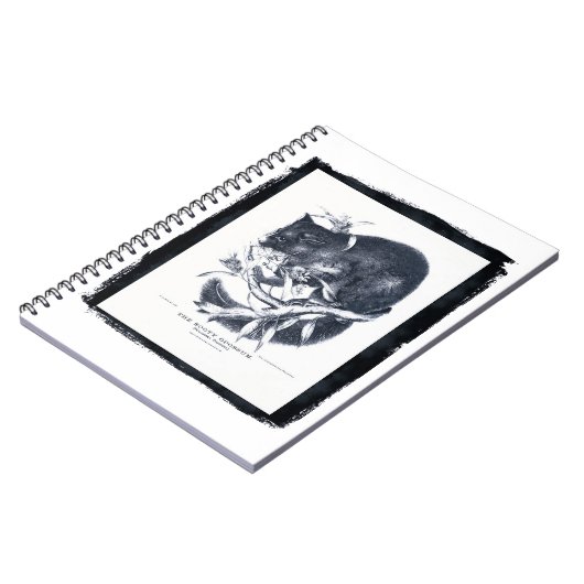 Carnet L'Opossum de Sooty (Côté gauche)