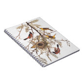 Carnet L'Oriole du verger d'Audubon dans le Criquet de mi (Côté Droit)