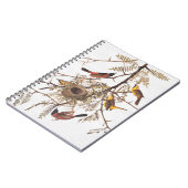 Carnet L'Oriole du verger d'Audubon dans le Criquet de mi (Côté gauche)