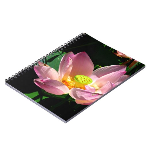 Carnet Lotus Blossom (Côté gauche)