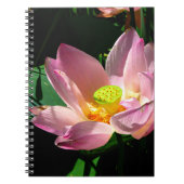 Carnet Lotus Blossom (Devant)