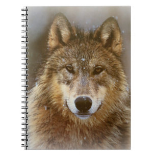 Carnet Loup
