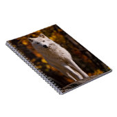 Carnet Loup arctique sur rocher (Côté Droit)