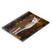 Carnet Loup arctique sur rocher (Côté gauche)