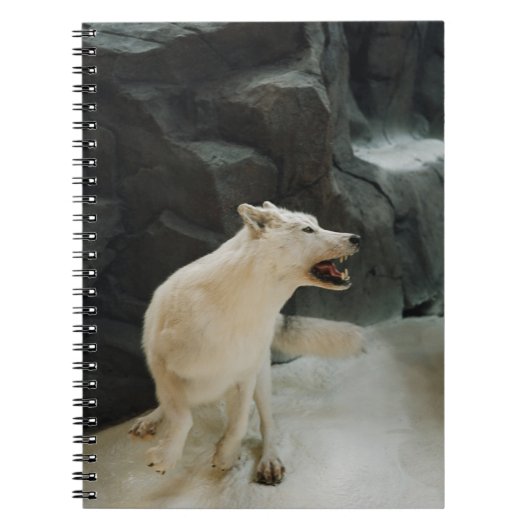 Carnet Loup blanc (Devant)