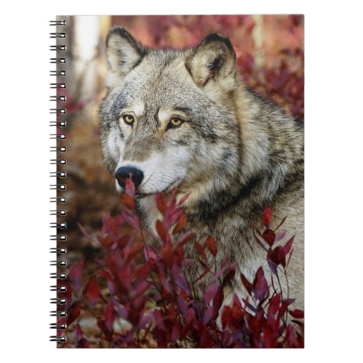 Carnet Loup dans l'affaire Foliage (Devant)