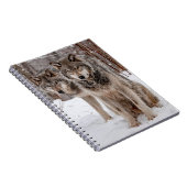 Carnet Loup gris-oriental (Côté Droit)