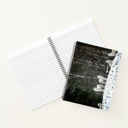 Carnet Loup polaire sauvage (Intérieur)