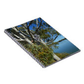 Carnet L'Ours De Koala Dormait Dans Un Arbre De Gomme, (Côté Droit)