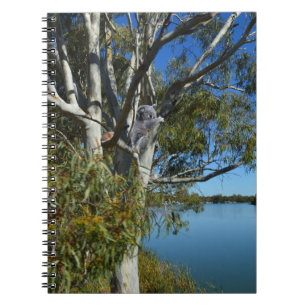 Carnet L'Ours De Koala Dormait Dans Un Arbre De Gomme,
