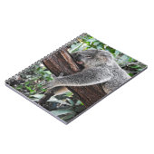 CARNET L'OURS DE KOALA DORT SUR L'ARBRE (Côté gauche)