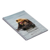 Carnet Loutre de mer d'Alaska (Côté Droit)