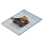 Carnet Loutre de mer d'Alaska (Côté gauche)
