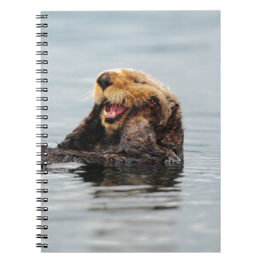 Carnet Loutre de mer d'Alaska (Devant)