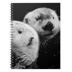 Carnet Loutres de mer : Paire blanche noire.
