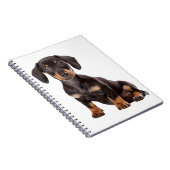 Carnet Love Dachshund Puppy Black & Tan Dog (Côté Droit)