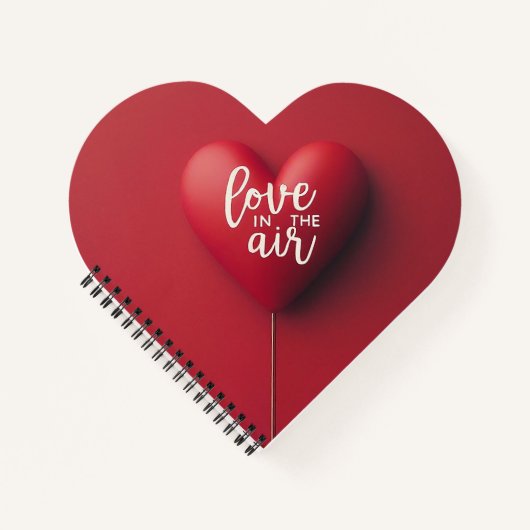 Carnet Love in the air (Devant)