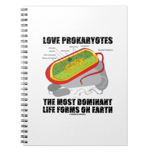 Carnet Love Prokaryotes Les Formes De Vie Les Plus Domina