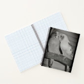 Carnet Lovier (Intérieur)