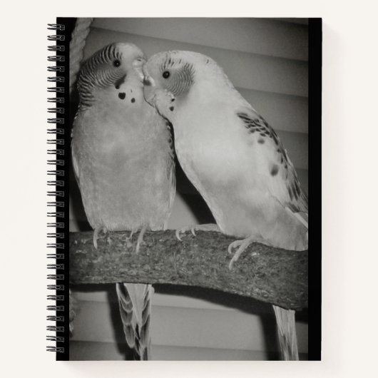 Carnet Lovier (Devant)