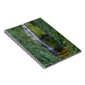 Carnet Lower Proxy Falls | Forêt nationale de Willamette (Côté Droit)