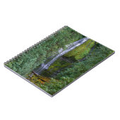 Carnet Lower Proxy Falls | Forêt nationale de Willamette (Côté gauche)