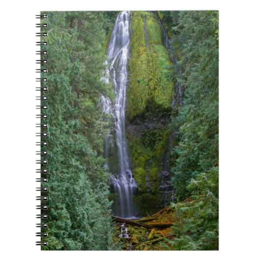 Carnet Lower Proxy Falls | Forêt nationale de Willamette (Devant)