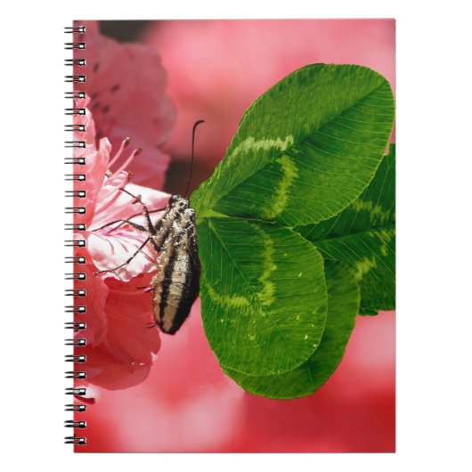 Carnet Lucky Butterfly (Devant)