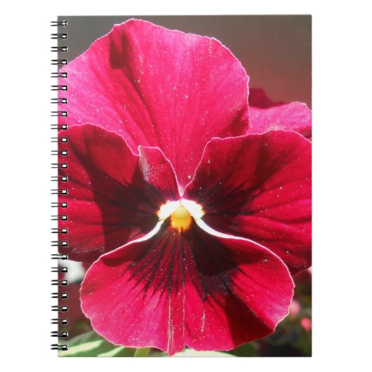 Carnet Lucrezia (Devant)