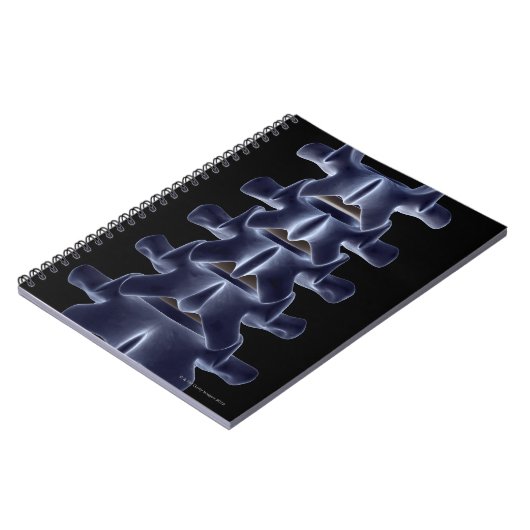 Carnet Lumbar Vertebra 2 (Côté gauche)