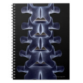 Carnet Lumbar Vertebra 2 (Devant)