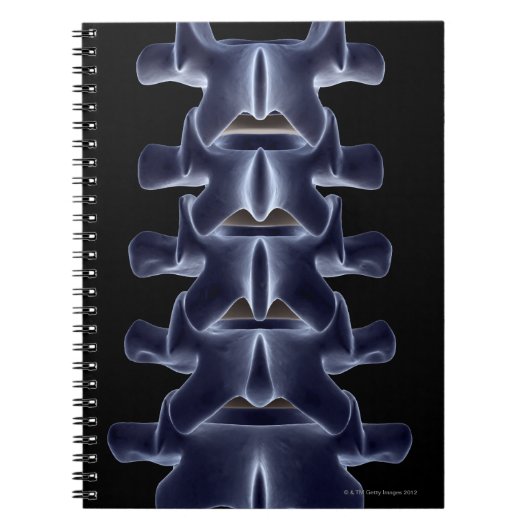Carnet Lumbar Vertebra 2 (Devant)