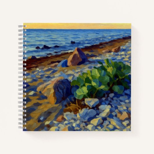 Carnet Lumière du soir sur la côte de Vormsi (Devant)