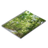 Carnet Lumière du soleil sur le chemin en bois au Centenn (Côté gauche)