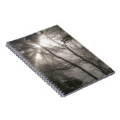 Carnet Lumière Solaire À Travers Les Arbres Bois Sombre (Côté Droit)