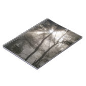 Carnet Lumière Solaire À Travers Les Arbres Bois Sombre (Côté gauche)