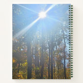 Carnet Lumière Solaire À Travers Les Arbres D'Automne Jou (Dos)