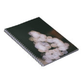 Carnet Lumières de Bokeh (Côté Droit)