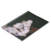 Carnet Lumières de Bokeh (Côté gauche)