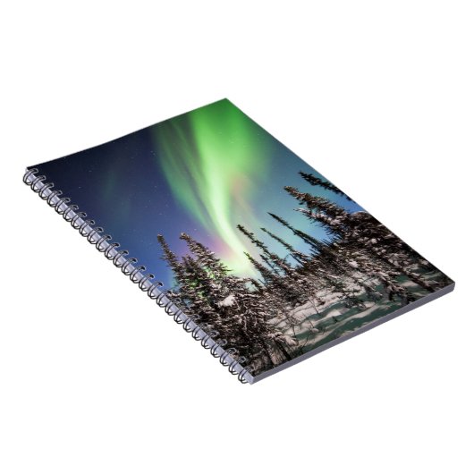 Carnet Lumières du Nord | Parc national de Denali (Côté Droit)