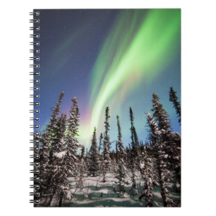 Carnet Lumières du Nord Parc national de Denali