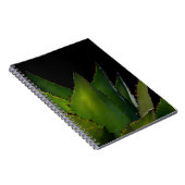 Carnet Luminosité de l'âge (Côté Droit)