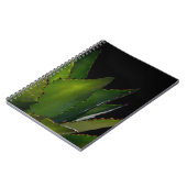 Carnet Luminosité de l'âge (Côté gauche)