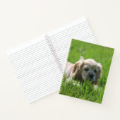 Carnet Luna (Intérieur)