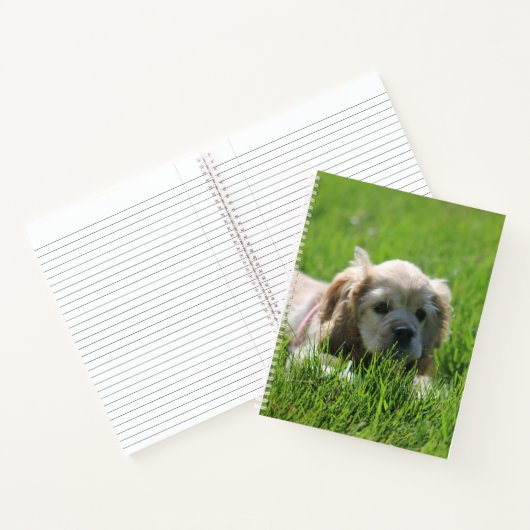 Carnet Luna (Intérieur)